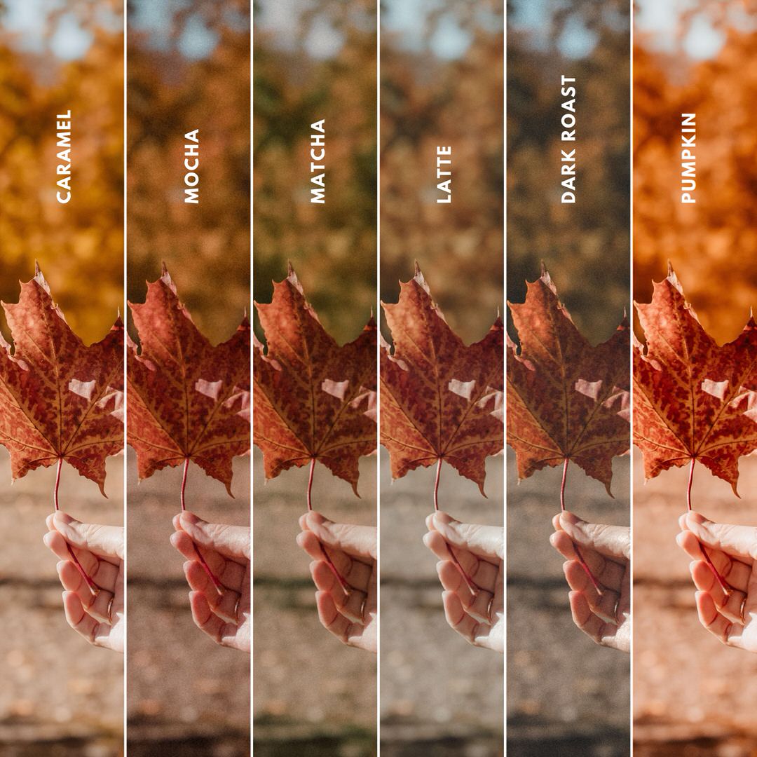 Autumn Vibes (mobile & desktop) + Lightroom eBook